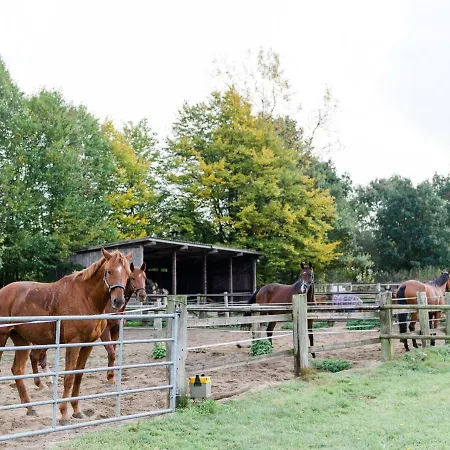 Holiday home Heidegut
